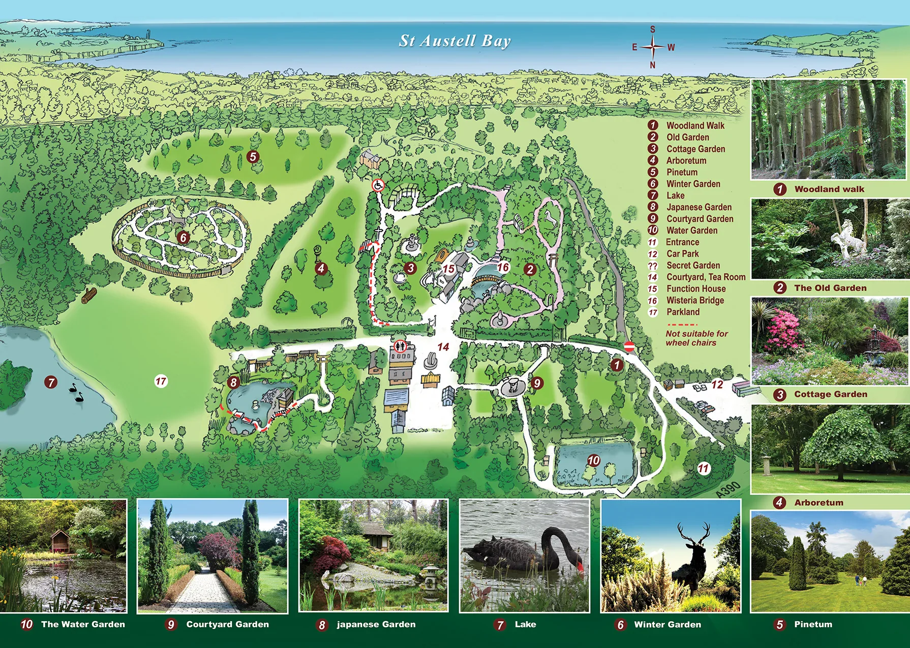 Pinetum Gardens Map showing all 10 themed garden rooms, walking paths, and attractions