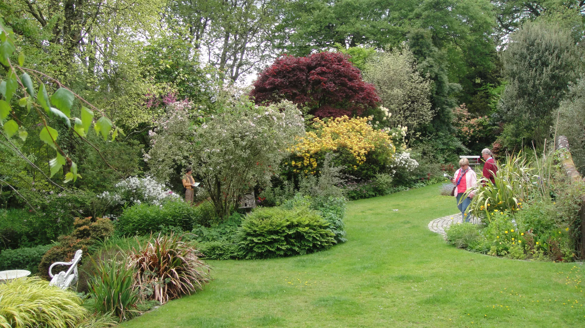 Cottage Garden at Pinetum Gardens Cornwall - A picturesque, colourful, and scented environment
