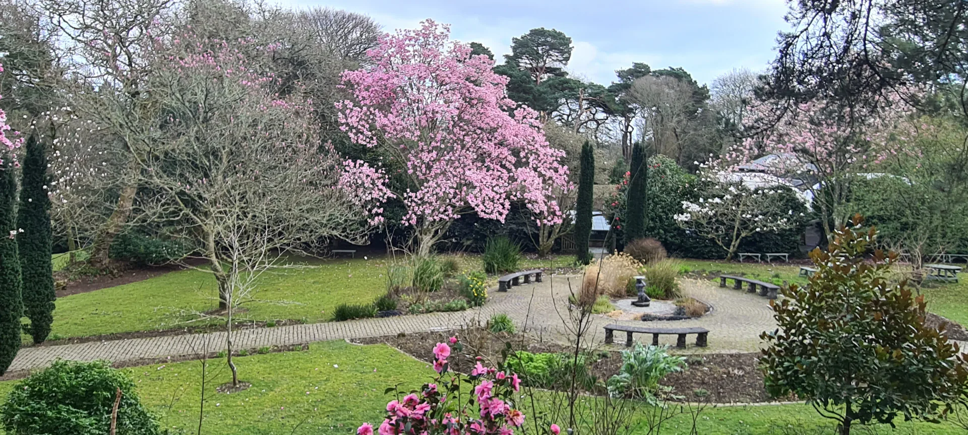 Courtyard Garden at Pinetum Gardens Cornwall - Formal, symmetric garden with stunning Magnolia flowers in the spring