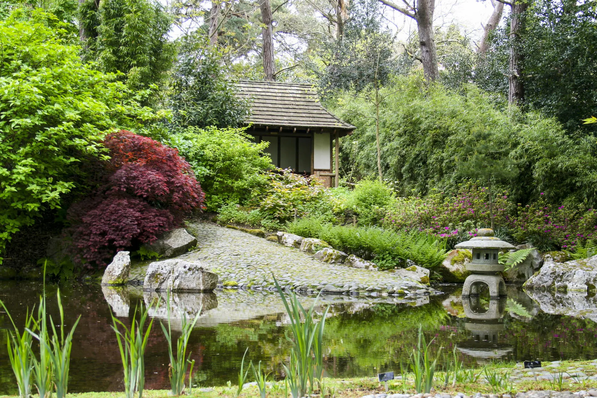 Japanese Garden at Pinetum Gardens Cornwall - This Shakkei garden is a creation based on the understanding of a 'Zen' state of mind