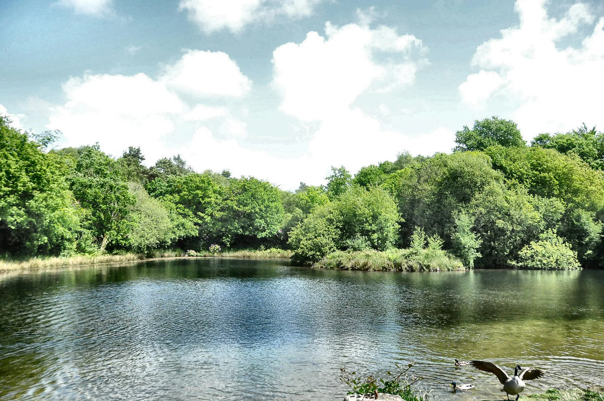 Hébergement de jardin à Pinetum Gardens près de St Austell Bay et des attractions locales